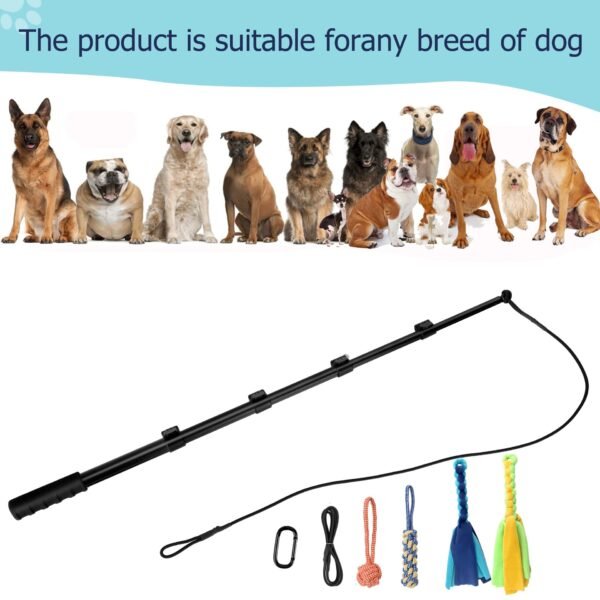 Retractable Flirt Pole for Dogs – Interactive Training & Exercise Toy – Dog Agility & Chase Stick for Puppies and Adults - Image 6